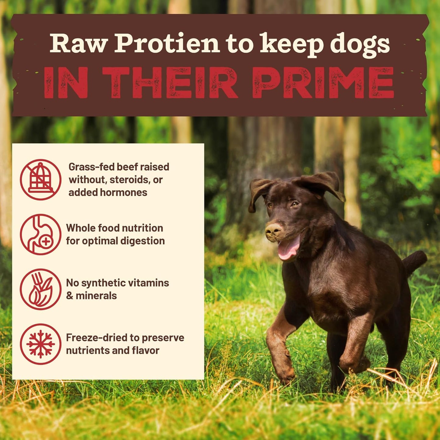 Primal Kibble in The Raw, Freeze Dried Dog Food, Beef, Scoop & Serve, Made with Raw Protein, Whole Ingredient Nutrition, Crafted in The USA, Dry Dog Food 9 lb Bag