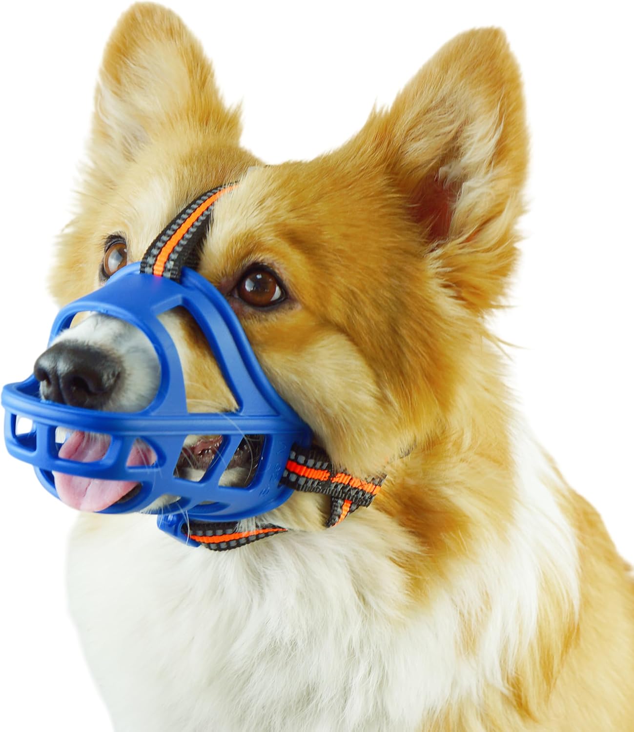 Dog Muzzle, Basket Muzzle for Small Medium Large Dogs, Anti-Biting and Chewing, Lightweight & Sturdy Cage Design, Allows Panting & Drinking, Ideal for Grooming & Training(Blue Size XL)