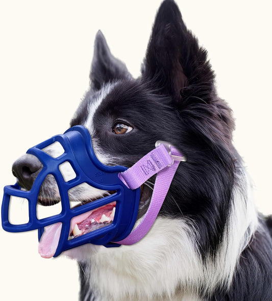 Basket Muzzle Allows Panting Drinking - Anti Biting Chewing, Suitable for Grooming Trimming Training, for Small Medium Large Dogs (Blue, Size 6)