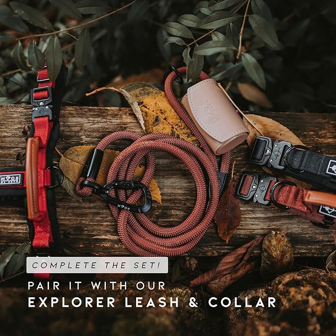 MADE TO ROAM Premium Explorer Harness - Y-Shaped Dog Harness with Adjustable Durable Nylon, Soft Padding, Metal Buckles and Leather Handle for Small, Medium, Large Dogs (Utah Glow, Size 4)