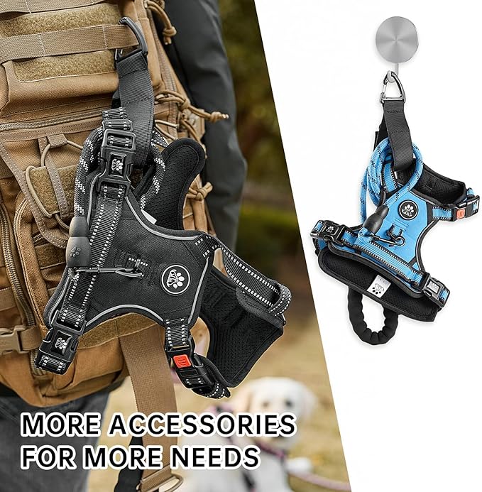 NESTROAD No Pull Dog Harness,Adjustable Oxford Dog Vest Harness with Leash,Reflective No-Choke Pet Harness with Easy Control Soft Handle for Small Dogs(X-Small,Blue)