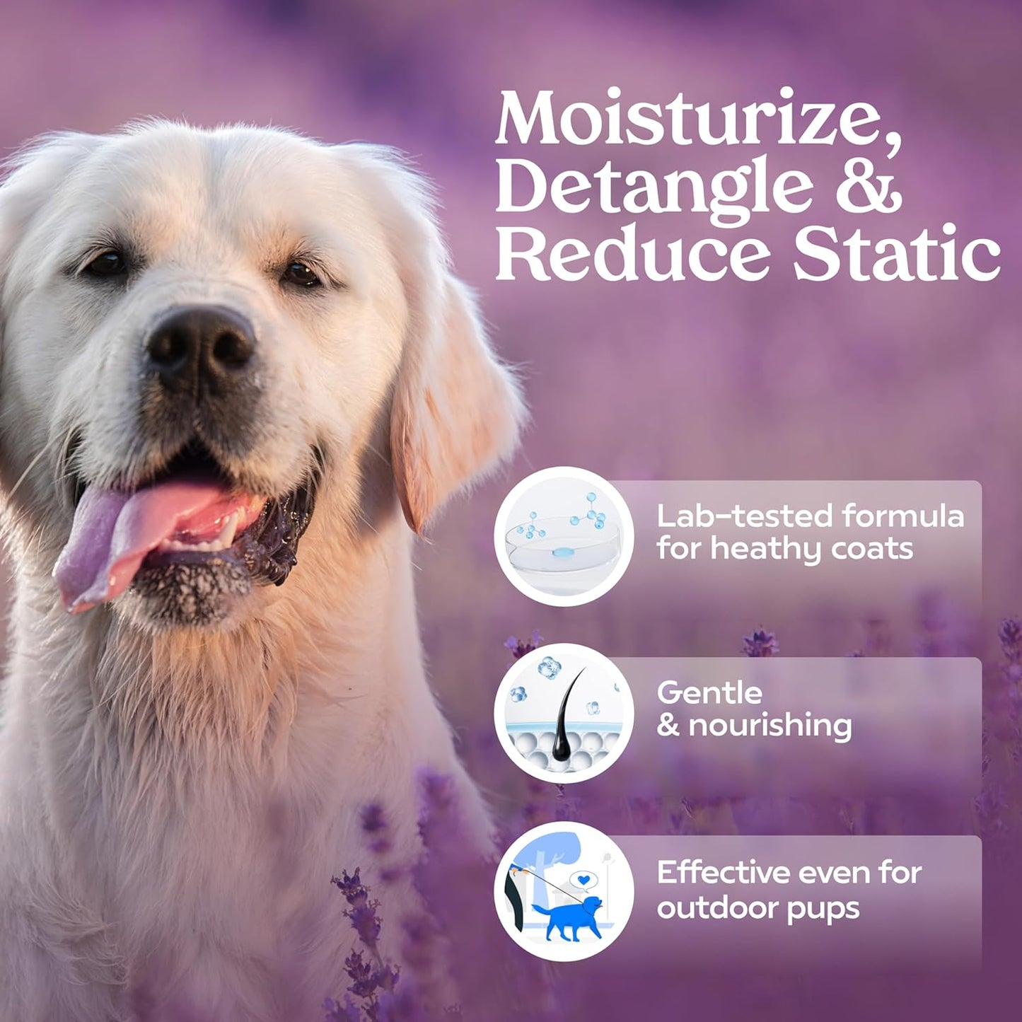PAWFUME Dog Detangler Grooming Spray, Royal Lavender, 1-Pack – Keeps Pups Fresh All Day – Hypoallergenic, Alcohol-Free, Detangling & Moisturizing – Salon-Quality Dog Necessities for Coat & Fur Care