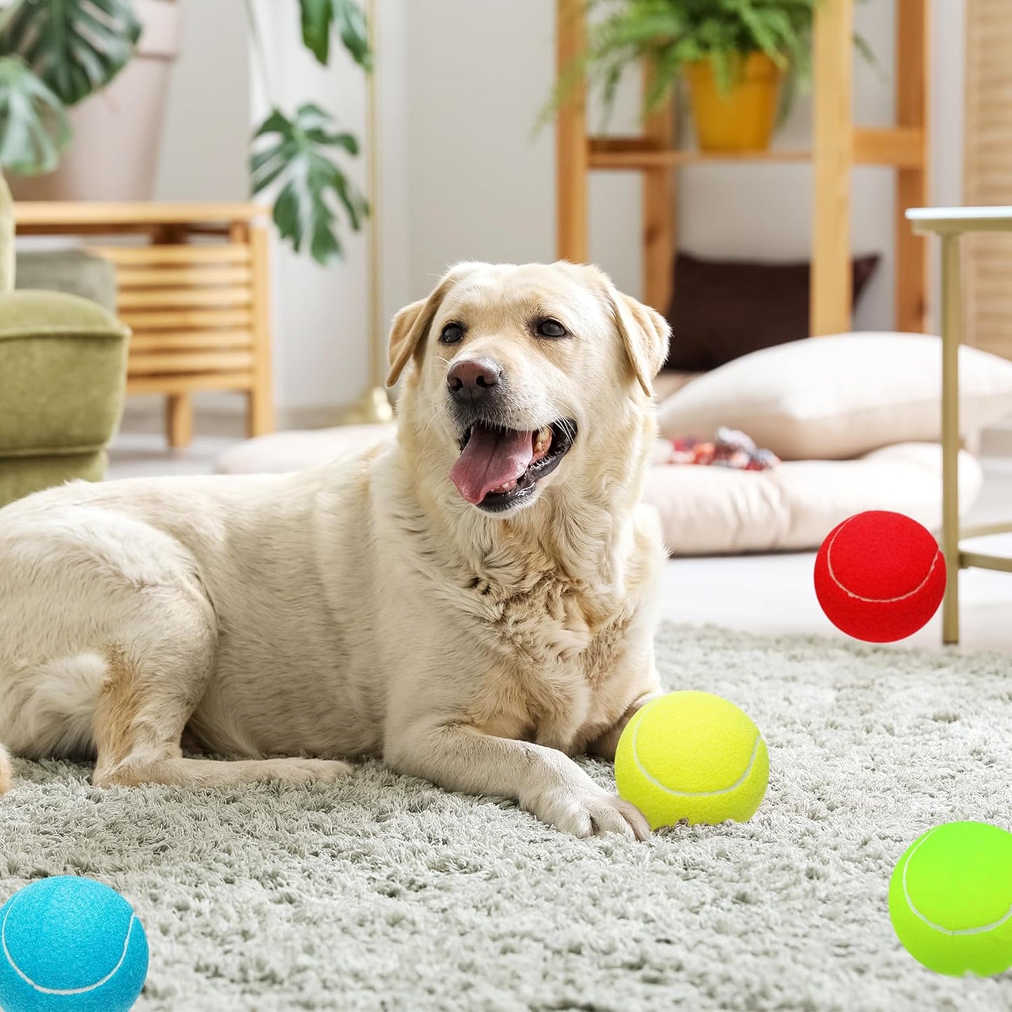 Large Dog Tennis Balls, 4 inch Interactive Big Dog Toy Ball for Small Medium Large Dogs, 4-Pack Dog Toys for Outdoor/Indoor Sports, Fetch, Training & Play
