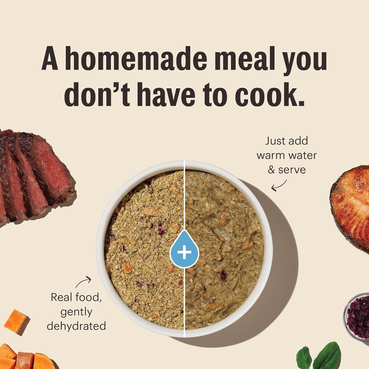 The Honest Kitchen Wholemade™ Grain Free Beef Dog Food, 2 lb Bag