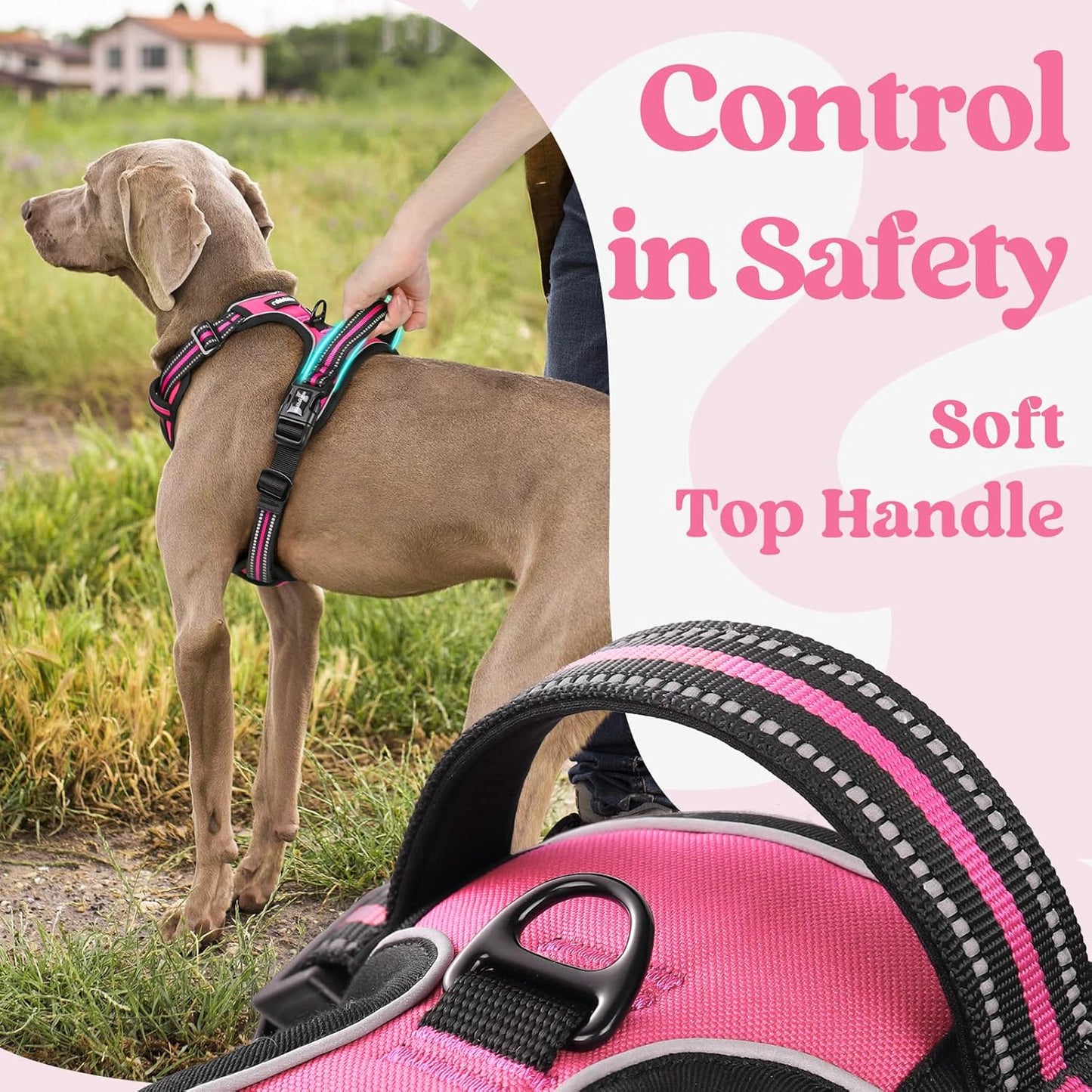 rabbitgoo Dog Harness Small Sized, No Pull Pet Harness with 3 Buckles, Adjustable Soft Padded Vest with Control Handle, Walking Reflective Pet Vest for Small Dogs, Rose Pink, S