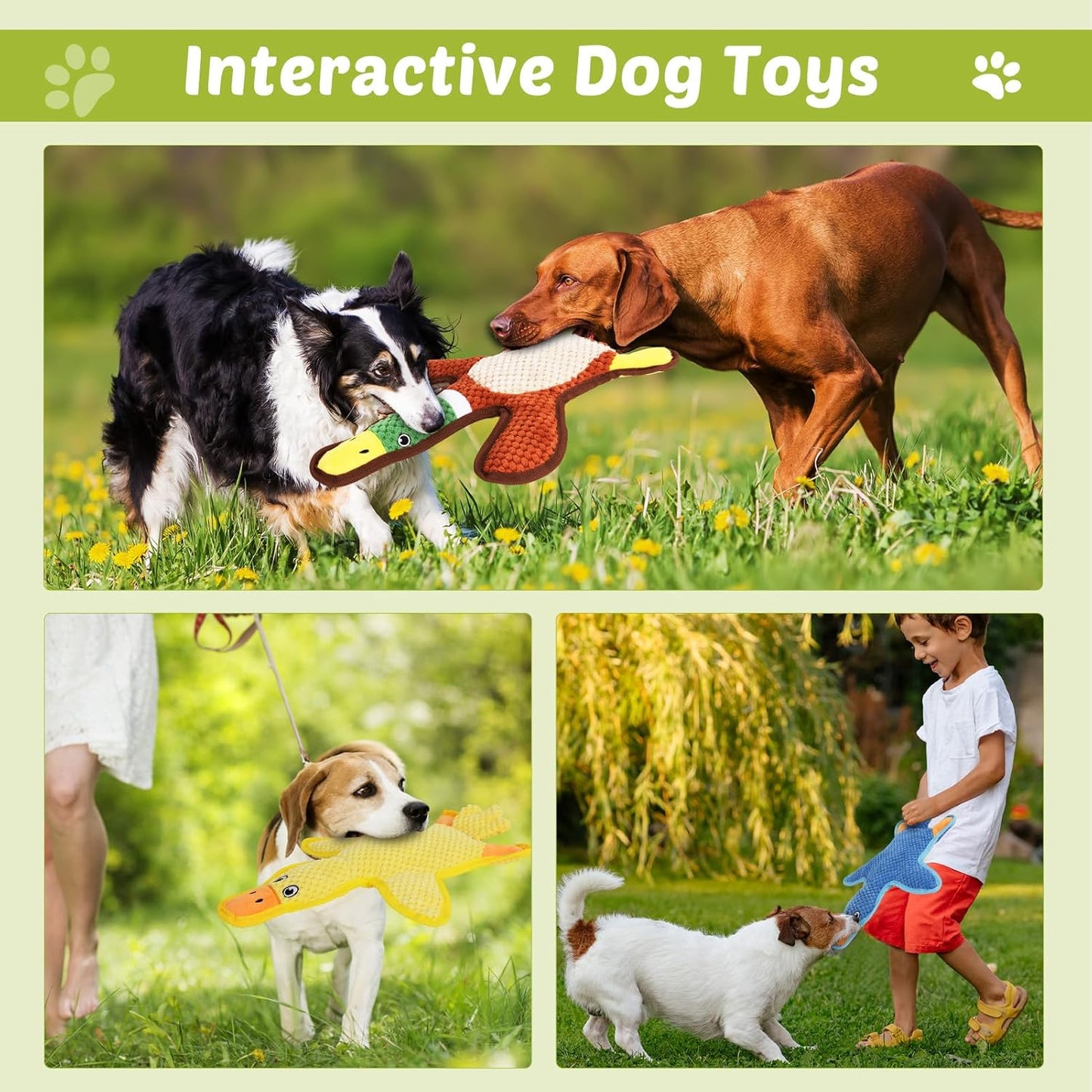 Dog Toys 3-Pack Cute Duck Shapes Puppy Toys No-Stuffing Squeaky and Crinkle Interactive Dog Chew Toy for Small to Large Breeds