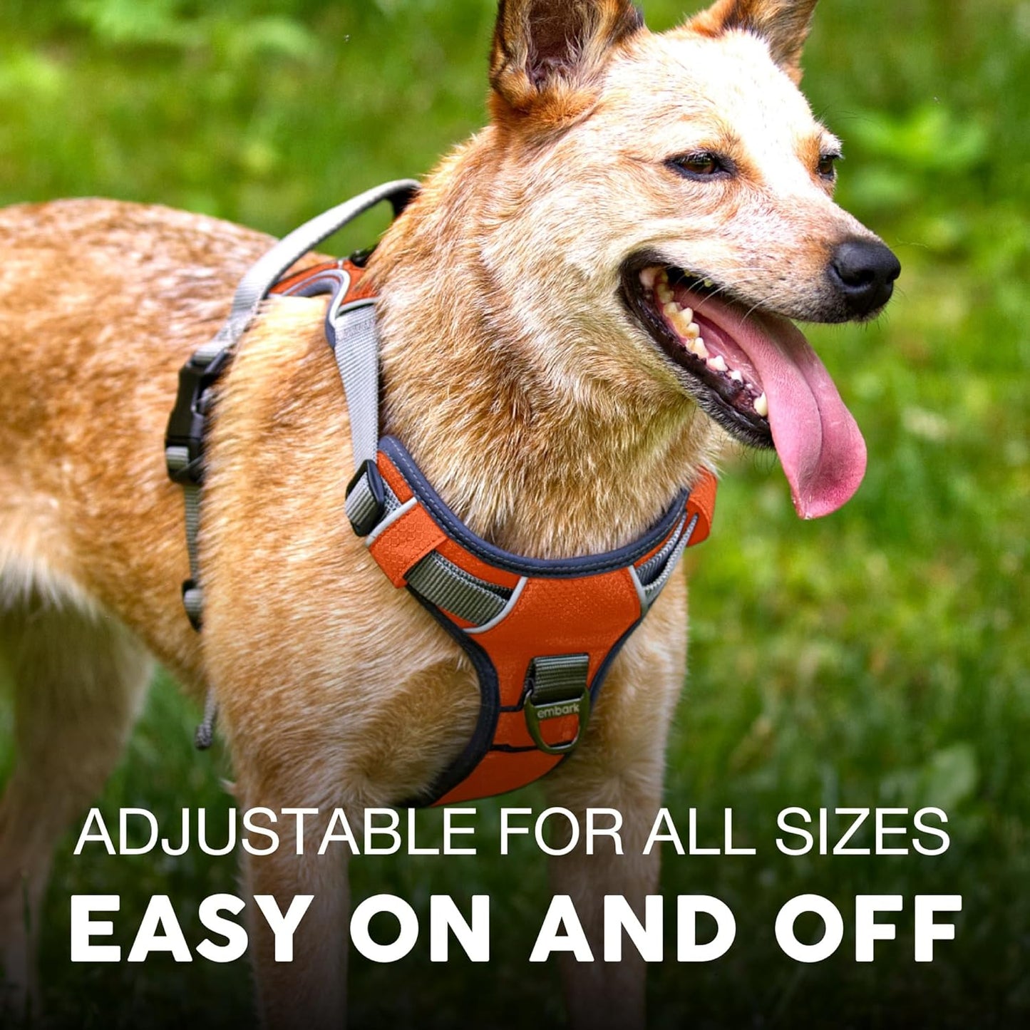 Embark Adventure Dog Harness, Reflective Trim No Pull Dog Harnesses for Small Sized Dogs - Military Grade Nylon, Front Clip with Gel Lined Handle.