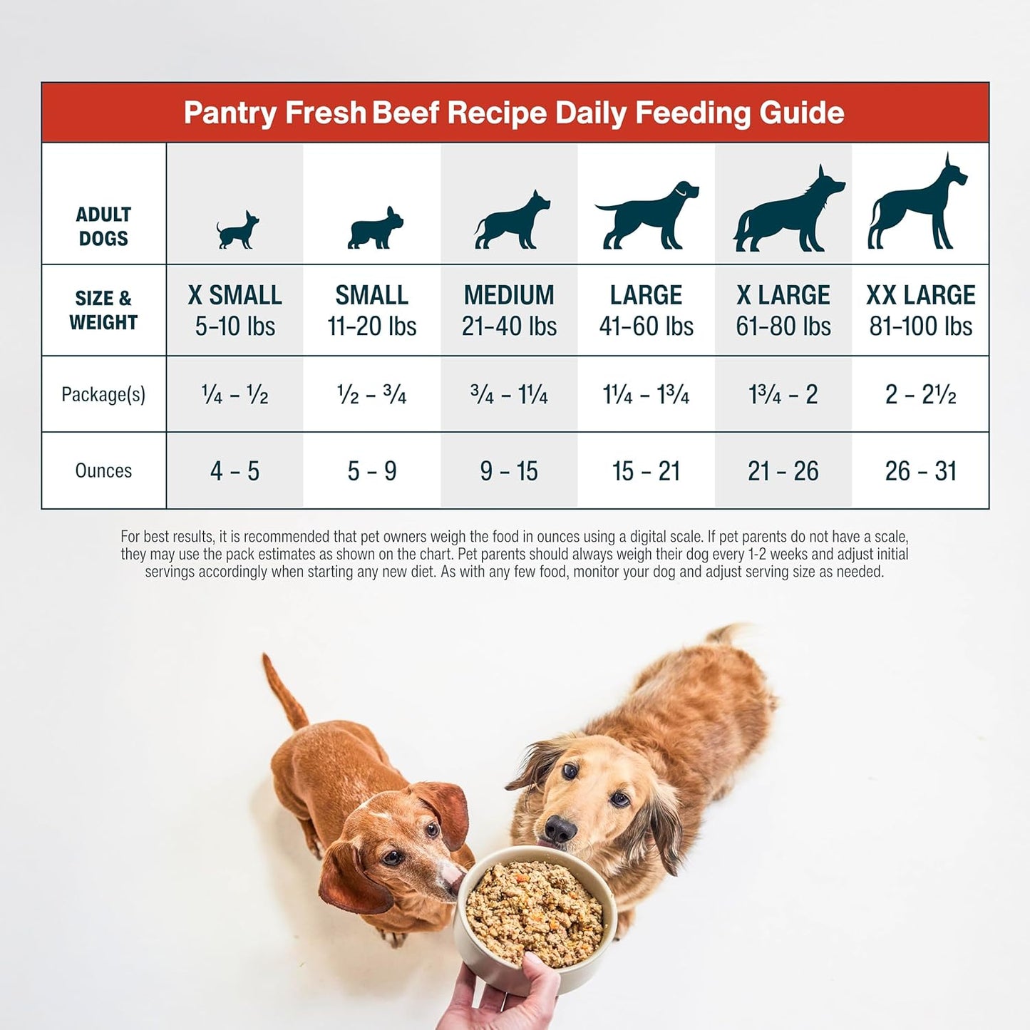 JustFoodForDogs Pantry Fresh Wet Dog Food, Complete Meal or Dog Food Topper, Beef & Russet Potato Human Grade Dog Food Recipe - 12.5 oz (Pack of 6)
