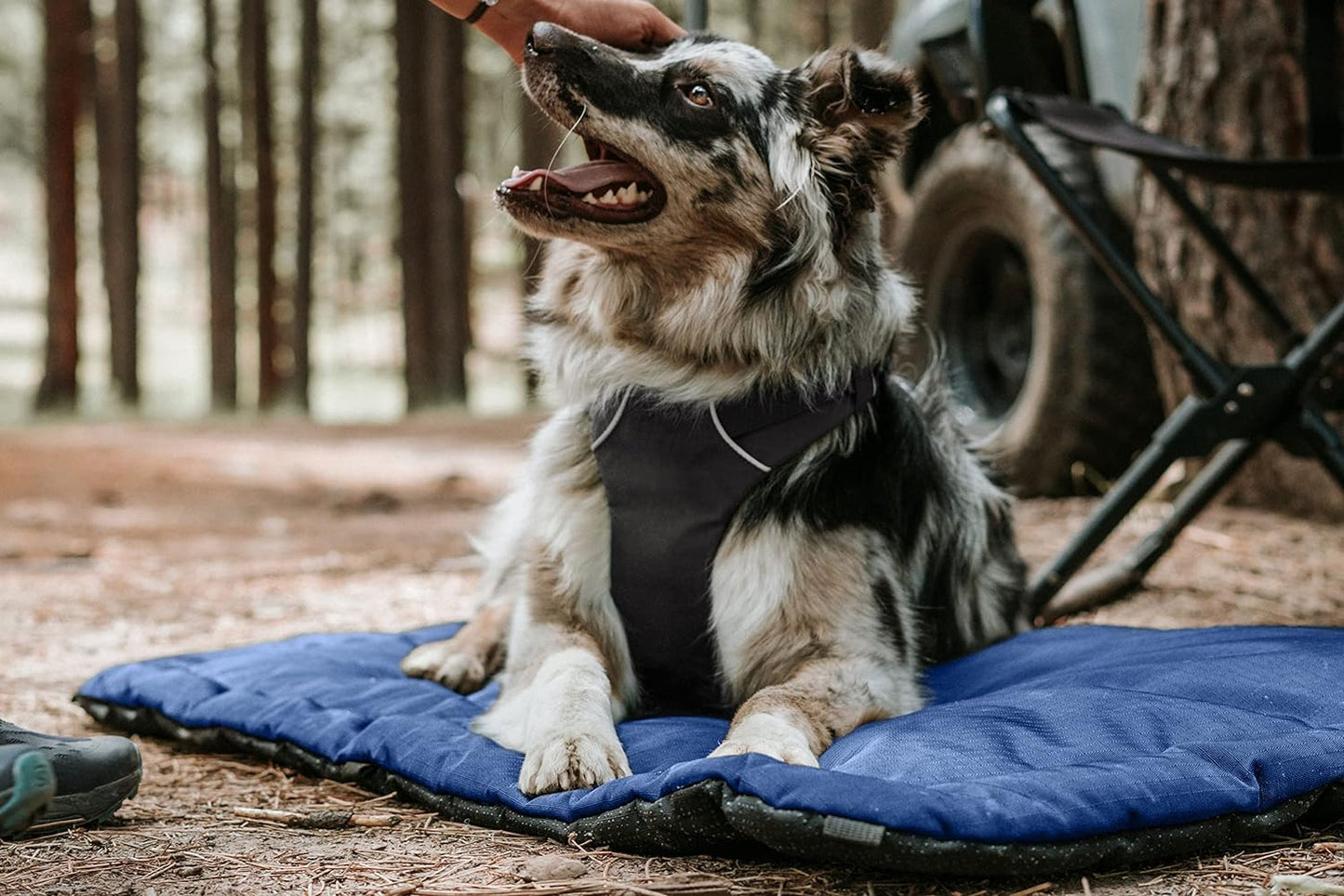 K9 Ballistics Tough Ripstop Dog Crate Pad - Durable & Machine Washable with Non-Skid Bottom and 120-Day Warranty, Fits 54" Wire Crates - XX-Large, Blue Quartz