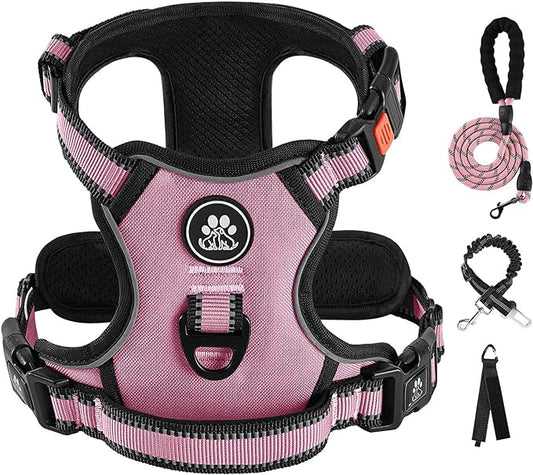 IVY&LANE No Pull Dog Harness for Small Dogs, Dog Vest Harness with Leash, Safety Belt and Storage Strap, Fully Adjustable, 360 Reflective Strip, Soft Handle (Pink, S)