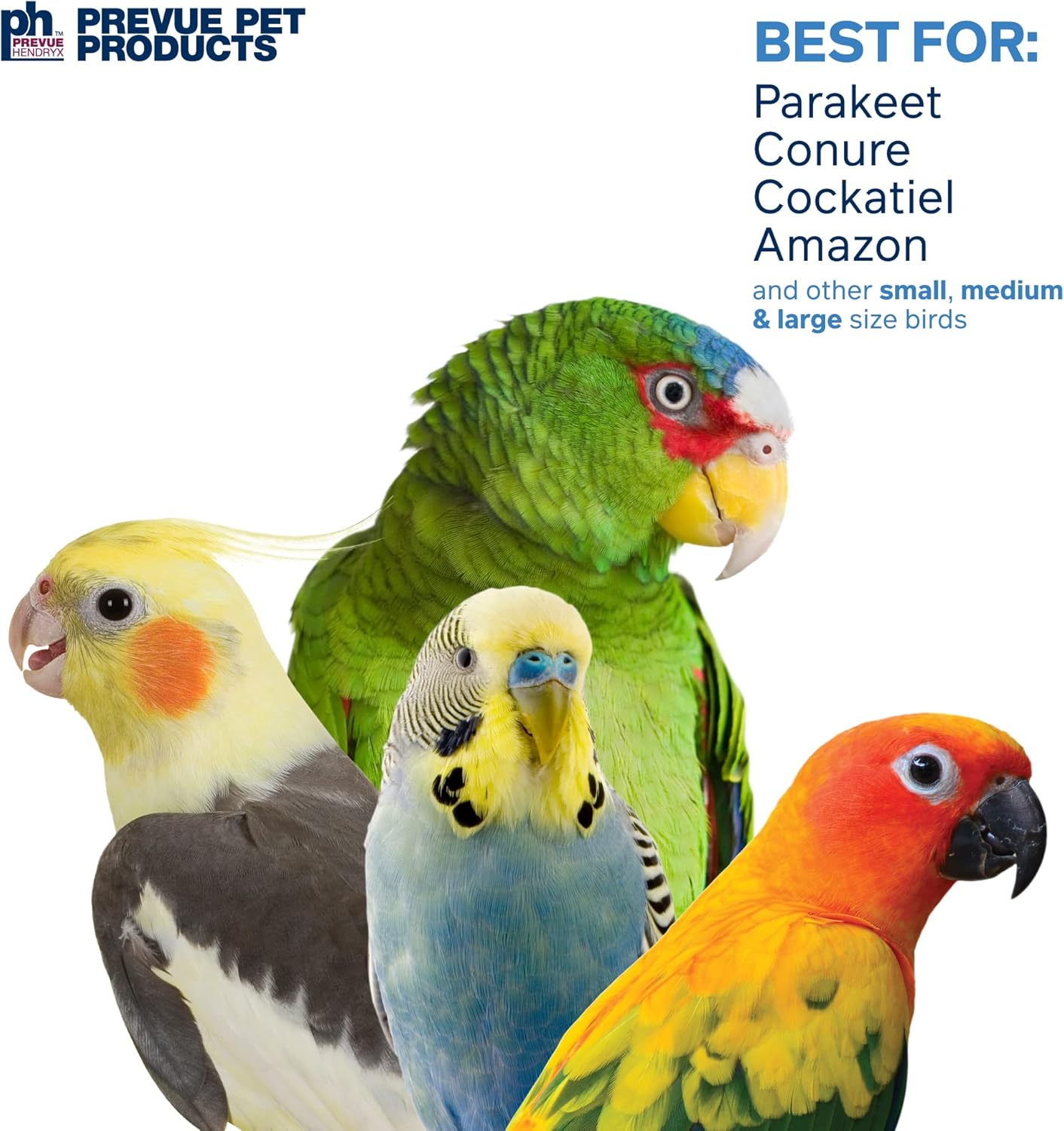 Prevue Pet Products 62606 Calypso Creations Club Bird Toy, Multicolor