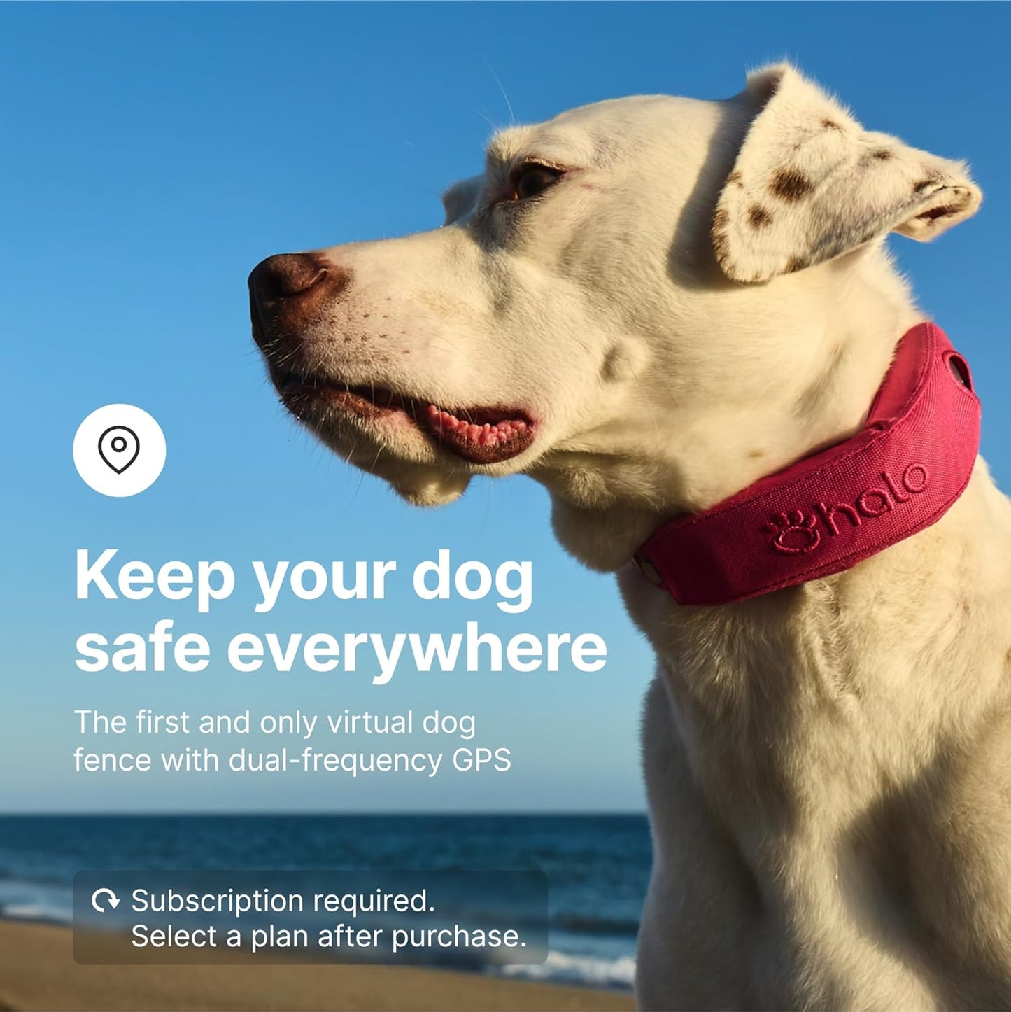 Halo Collar 4, All New GPS Wireless Dog Fence & Dog Training Collar with GPS Tracker, Subscription Required, Waterproof, One Size, Sunburst