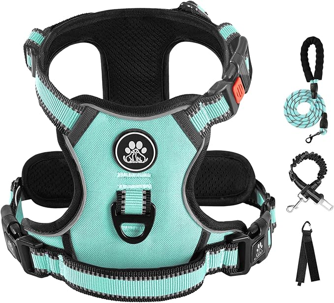 IVY&LANE No Pull Dog Harness with Leash Set, Reflective No Choke Pet Vest,Adjustable Oxford Dog Vest Harness with Easy Control Handle for Large Dogs (Turquoise,L)