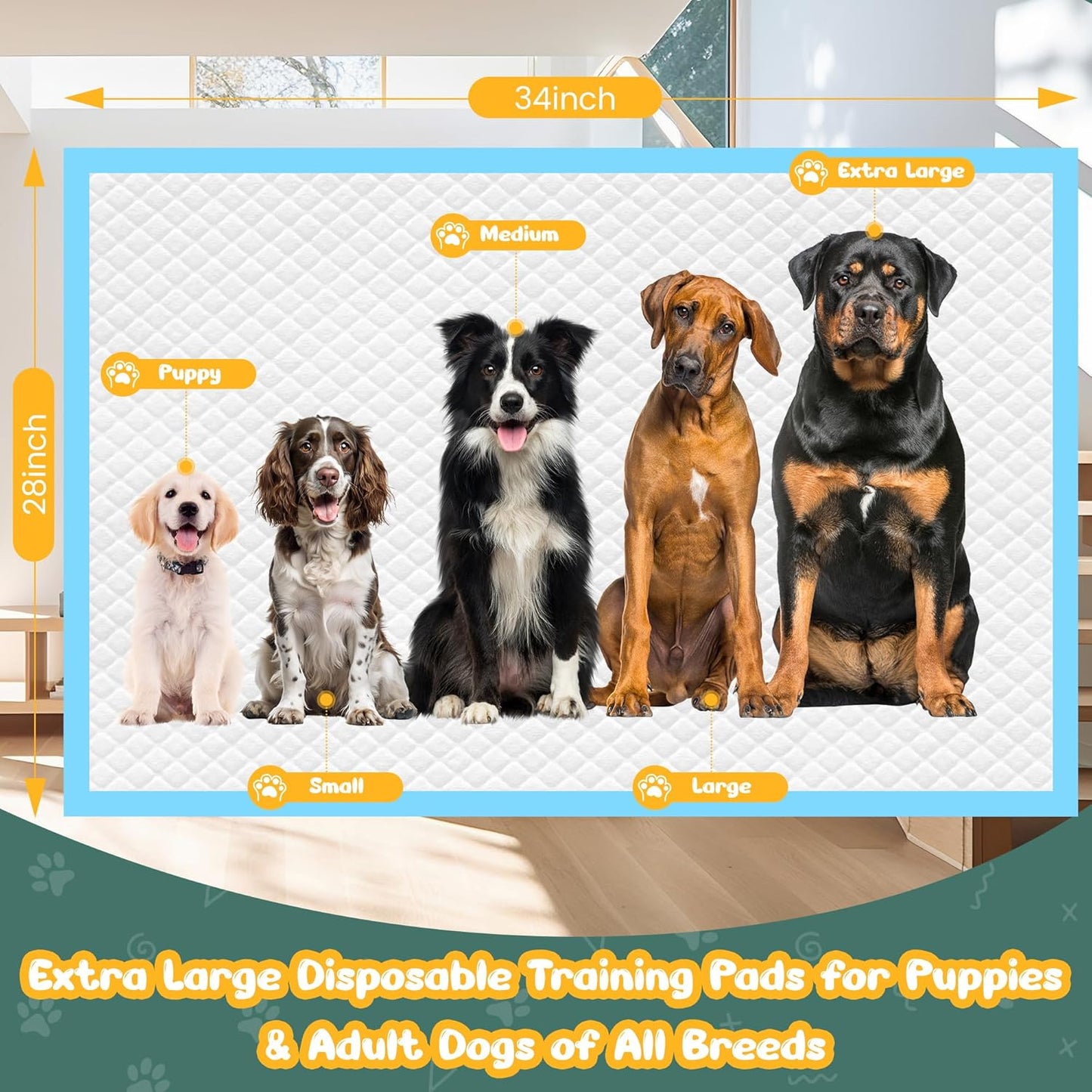 Extra Large Puppy Pads 28" x 34"-30 Count, Super Absorbent Dog Pee Pads Quick Drying Leak-Proof X-Large Dog Training Pads Disposable Training Pads for Dogs Puppies Cats