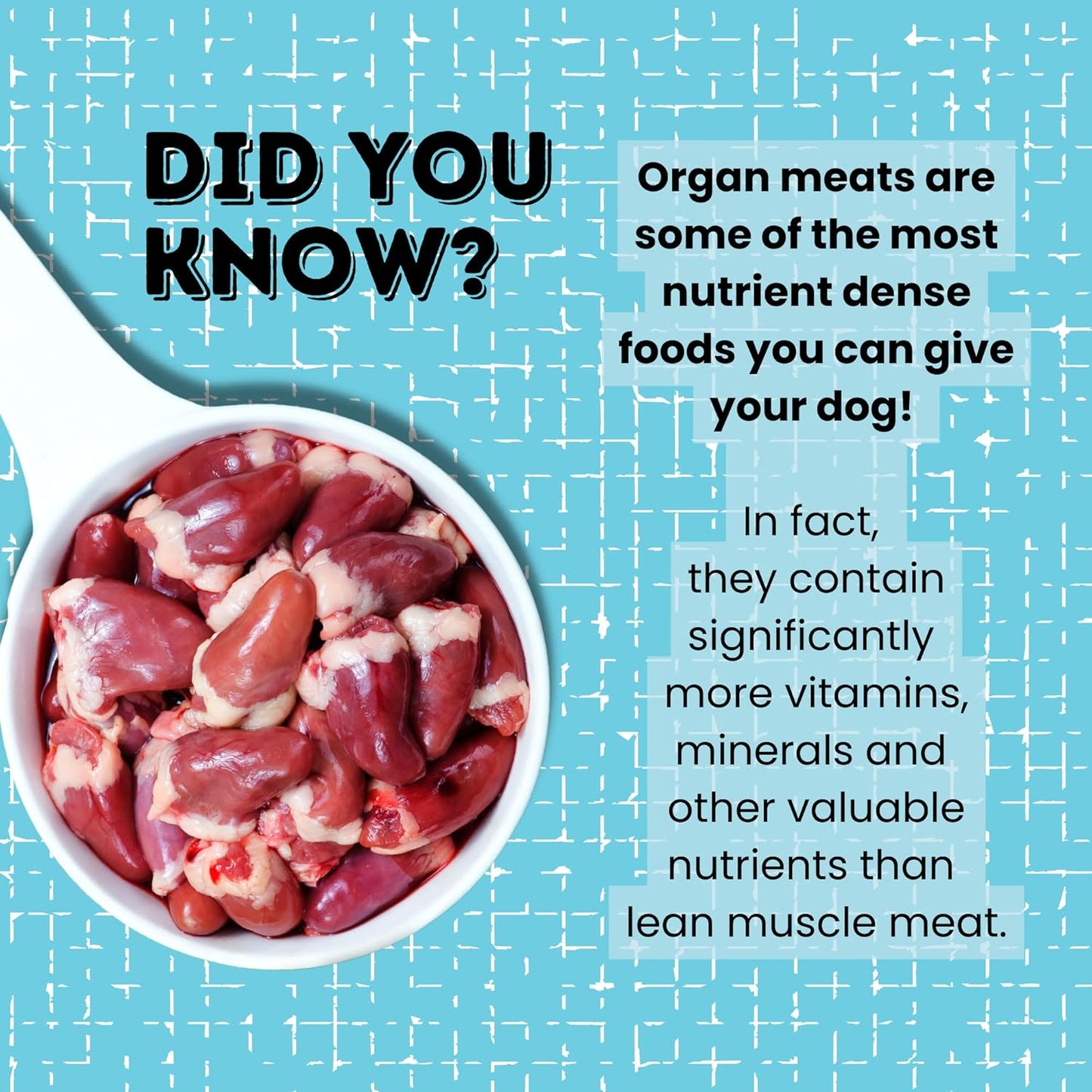 hotspot pets Freeze Dried Beef Liver Treats for Cats & Dogs - 1LB Big Bag- Made in USA,Single Ingredient, All Natural Grain-Free Beef Liver- Perfect for Training, Topper or Reward Snack