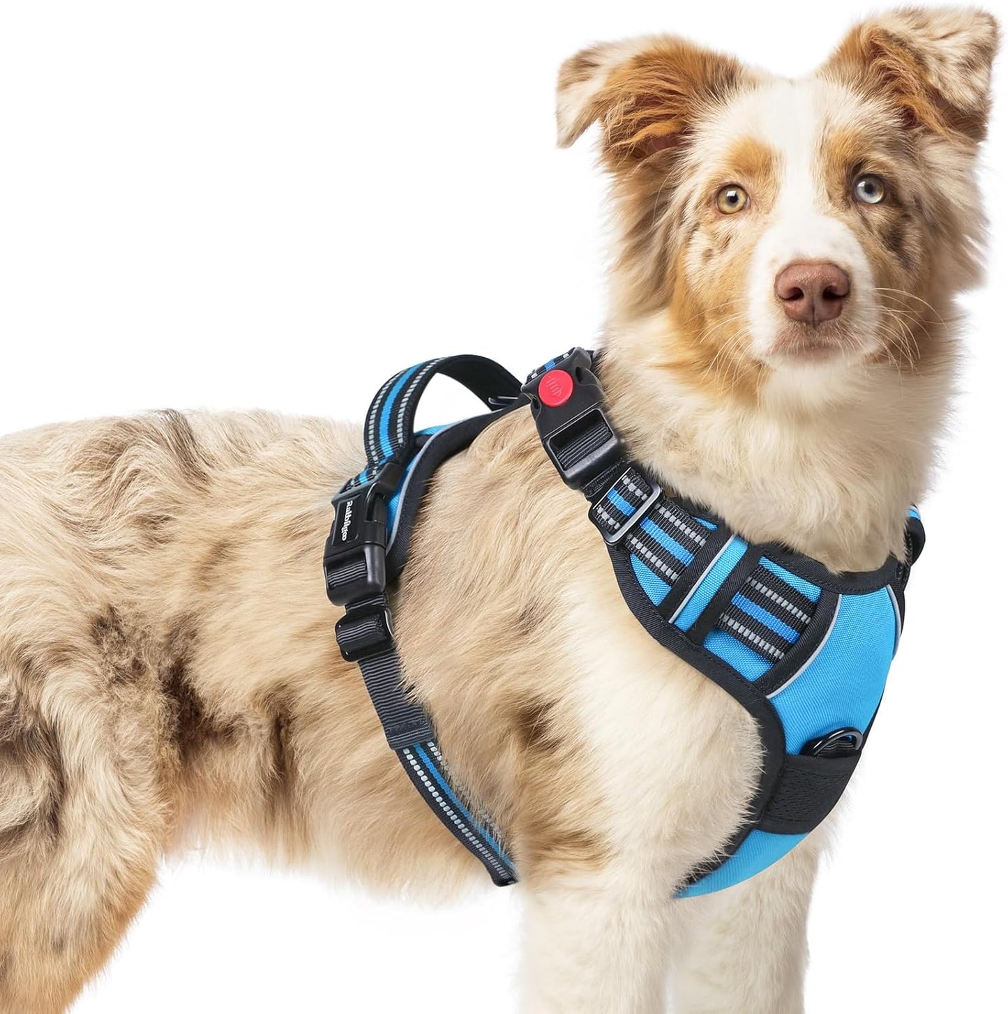 rabbitgoo Dog Harness Medium Sized, No Pull Pet Harness with 3 Buckles, Adjustable Soft Padded Vest with Control Handle, Walking Reflective Pet Vest for Medium Dogs, Sky Blue, M