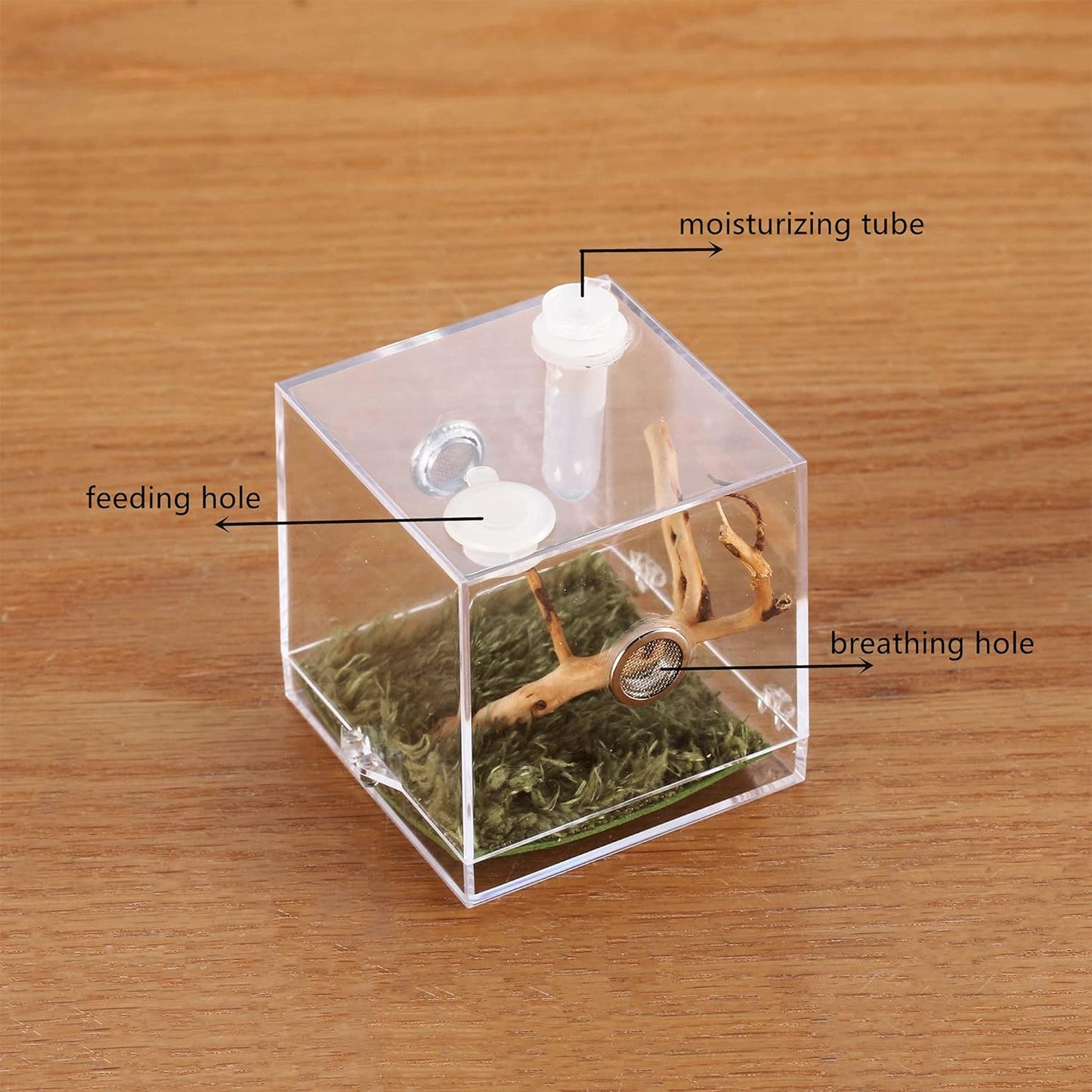 crapelles Jumping Spider Micro Middle Habitat, Small Pet Insect Breeding Box, 360 Degree Transparent Reptile Cage, Acrylic Case Mini Carrier for Amphibians, Feeding Container Enclosure Accessories