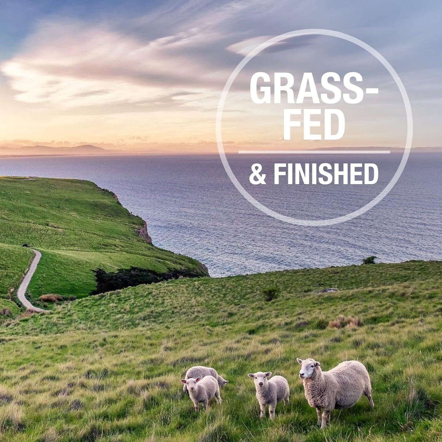 K9 Natural Freeze Dried Dog Food Topper with Verified Ingredients, Organ Meat Blend for Digestive Support, Human-Grade Freeze Dried Puppy Food & Dog Topping, Beef Green Tripe, 8.8oz