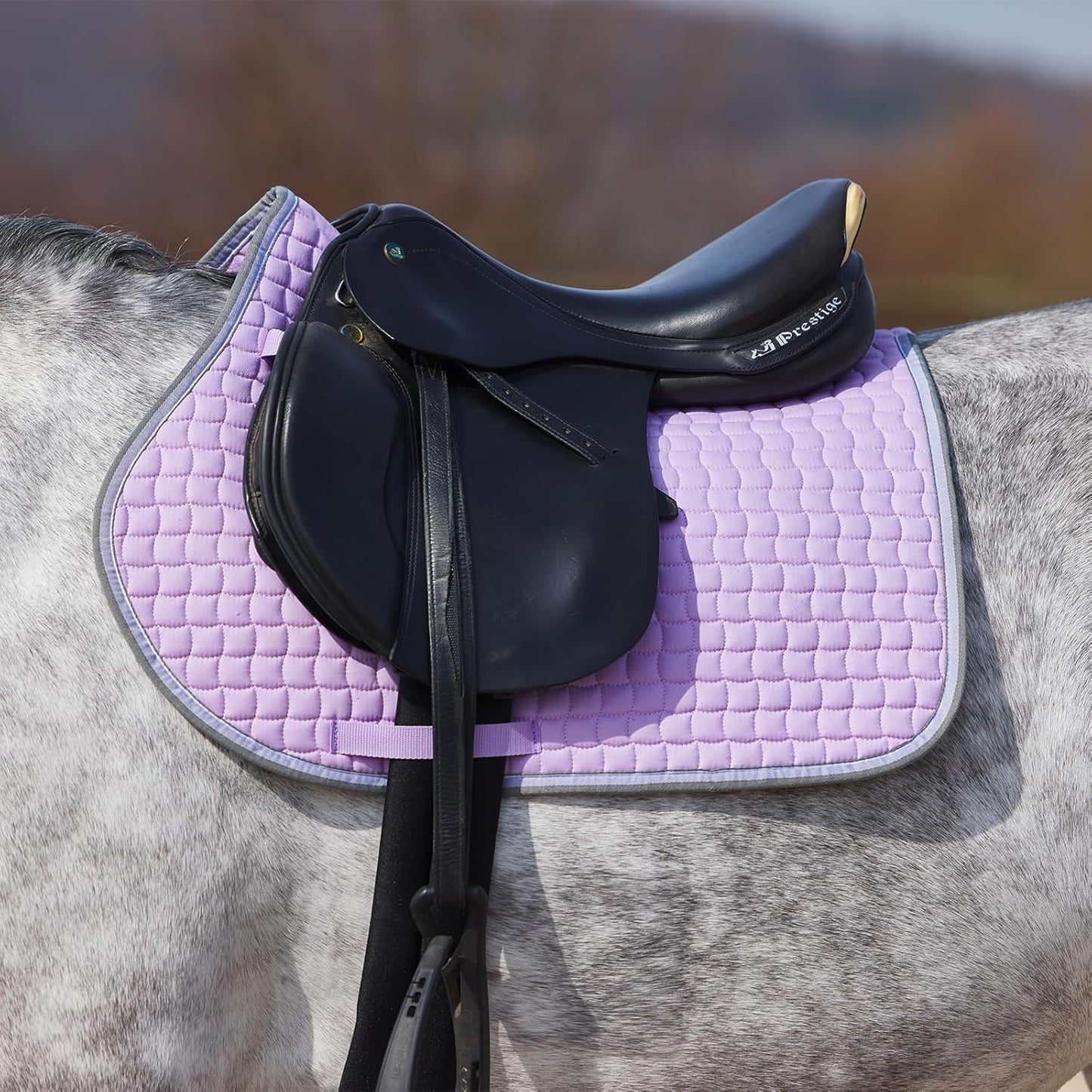 HORZE Adepto Padded All Purpose Quilted Equestrian Saddle Pad for Horses with Two-Tone Trim