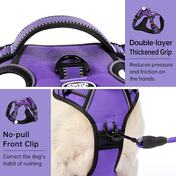 IVY&LANE No Pull Dog Harness for Medium Dogs, Dog Vest Harness with Leash, Safety Belt and Storage Strap, Fully Adjustable Harness, 360° Reflective Strip, Soft Handle (Purple, M)