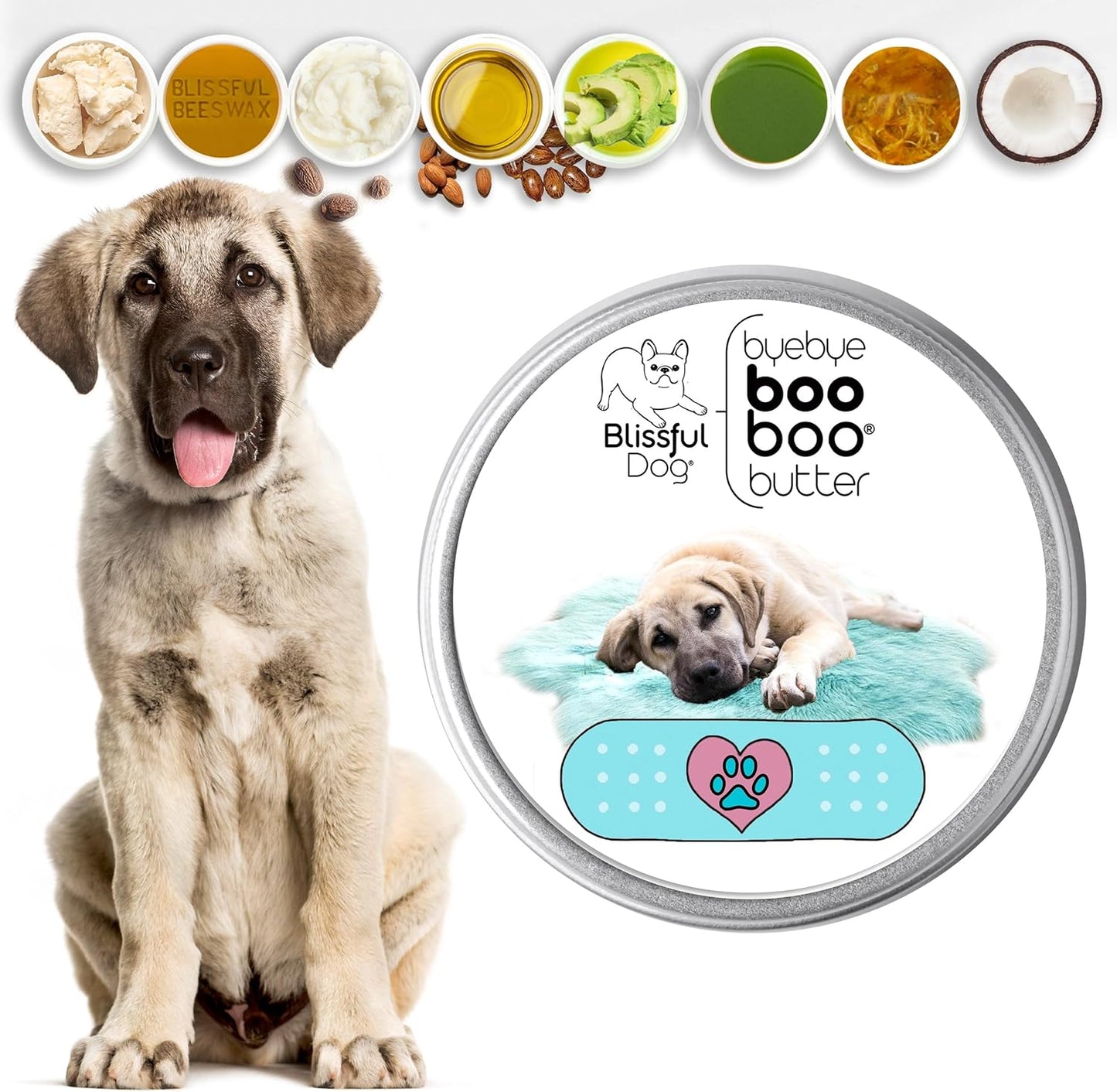 The Blissful Dog Anatolian Shepherd Boo Boo Butter, 4 Ounce