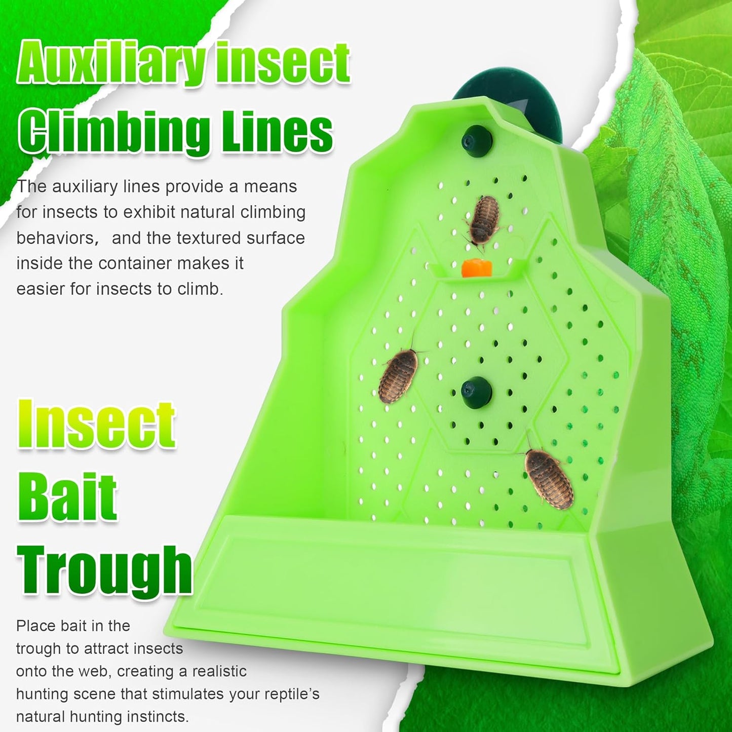 Reptile Anti-Escape Feeding Bowl, Wall-Mounted Feeder for Reptile, Stimulate Hunting Accessories for Terrarium, Vivarium and Paludarium, Suitable for Lizard, Gecko & Frog, Small