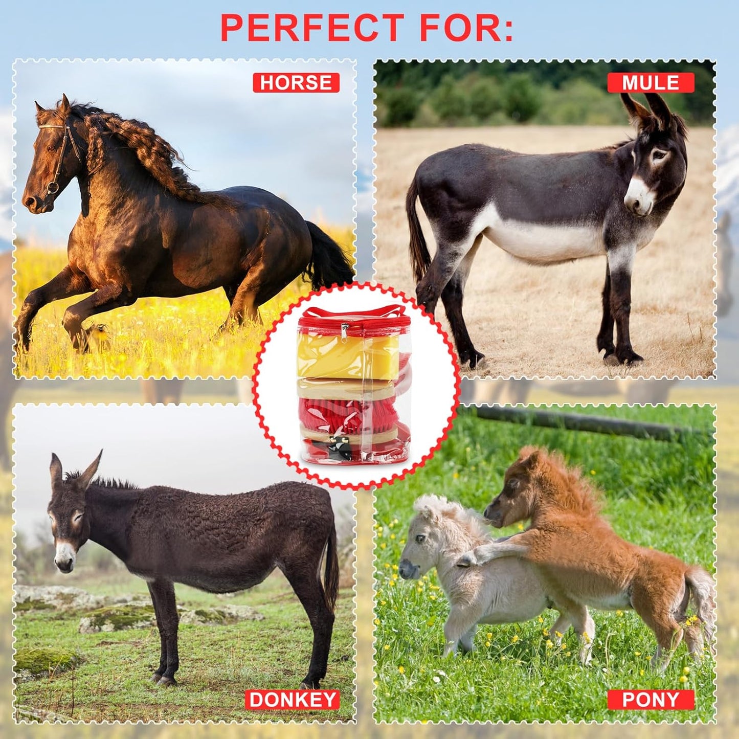 9 Pieces Grooming Kit with Tote Bag - Brush Set, Sweat Scraper, Sponge, Hoof Pick, Curry Comb for Horse Riders and Beginners (Red)