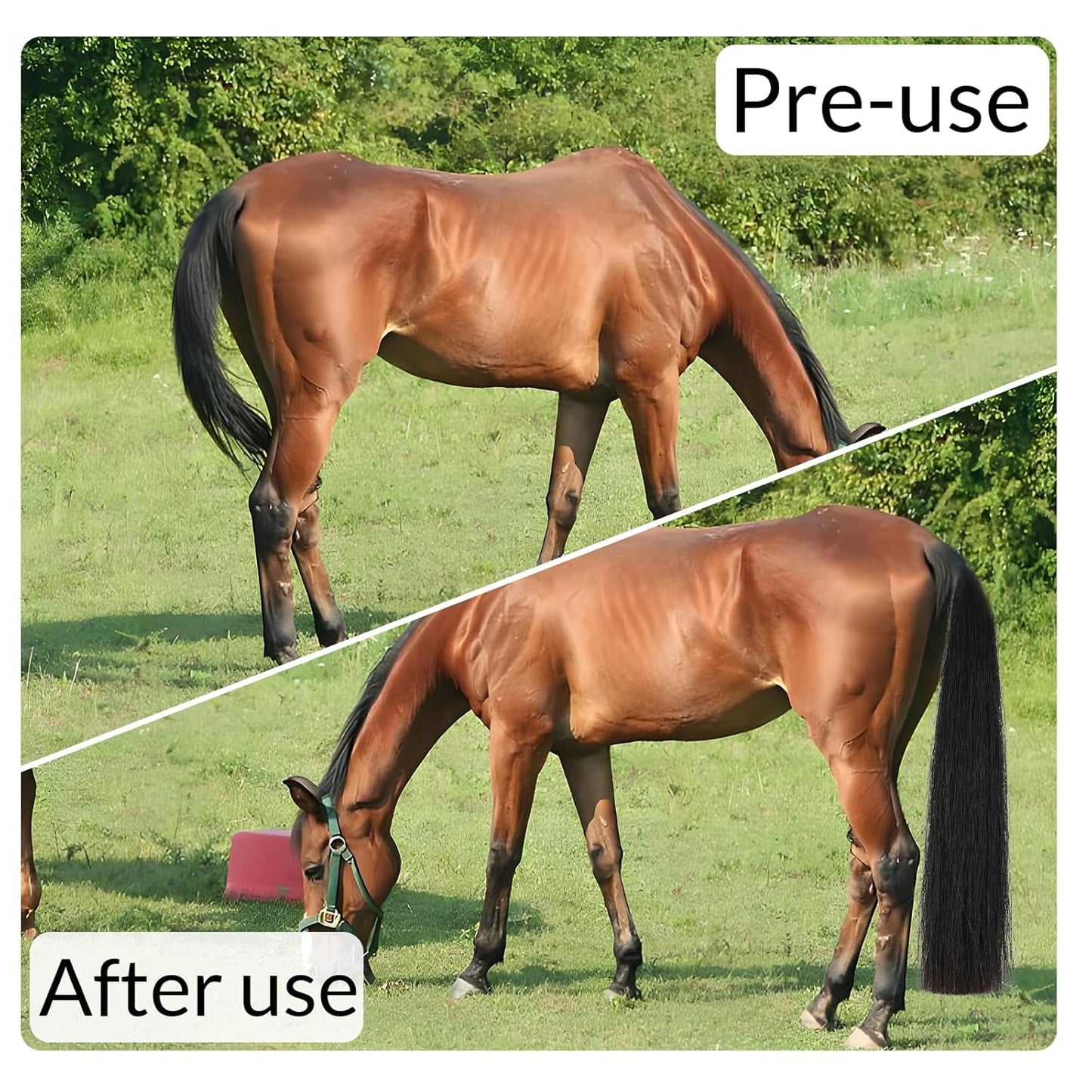 Horse Tail Extension with Braided Horsehair Loop, Blunt Cut Bottom, 3/8 lb, 28-30 inches (Natural Black)