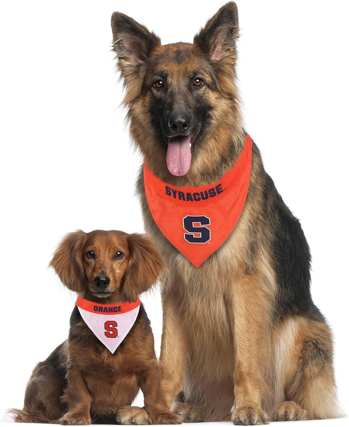Pets First Collegiate Pet Accessories, Reversible Bandana, Syracuse Orange, Large/X-Large