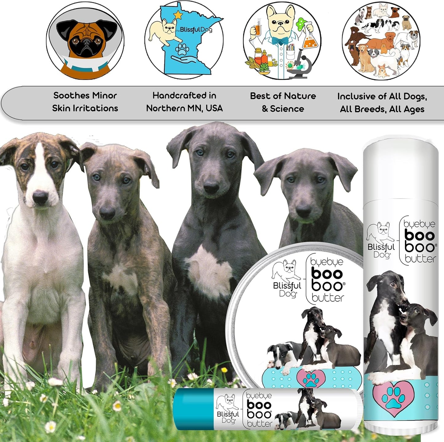 The Blissful Dog Greyhound Boo Boo Butter, 8-Ounce