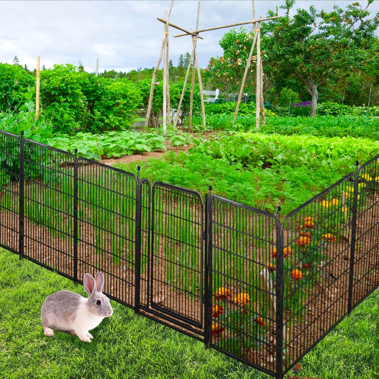 Tall Garden Fence,Wide Gate Low Threshold Fence for Garden, 32in(H) 4 Panels Total 8.9 Ft(L) Animal Barrier Fence, Flower Bed Fencing, Dog Fences Outdoor for Yard