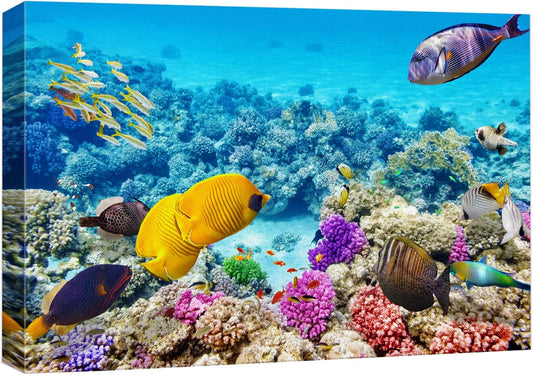 wall26 Canvas Print Wall Art Vibrant Teal Underwater Fish Coral Reef Nature Animals Photography Realism Rustic Scenic Landscape Wilderness Earth Colorful for Living Room, Bedroom, Office - 24"x36"