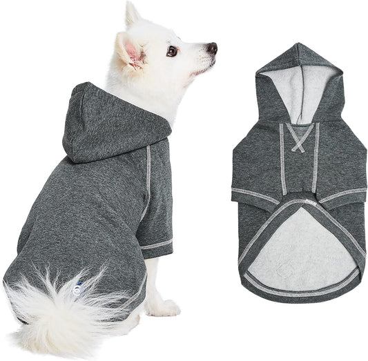 Blueberry Pet Essentials Soft & Comfy Better Basic Cotton Blend Dog Hoodie Sweatshirt in Charcoal Grey, Back Length 18", Pack of 1 Jacket for Dogs