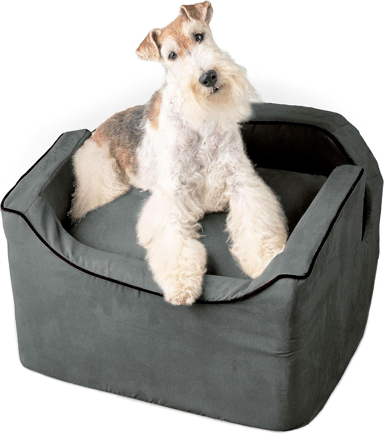 Snoozer Lookout I Dog Car Seat - Small Dog & Puppy Car Seat, Booster Bed for Small & Medium Size Pets up to 25 Lbs, Elevated, Washable - Medium