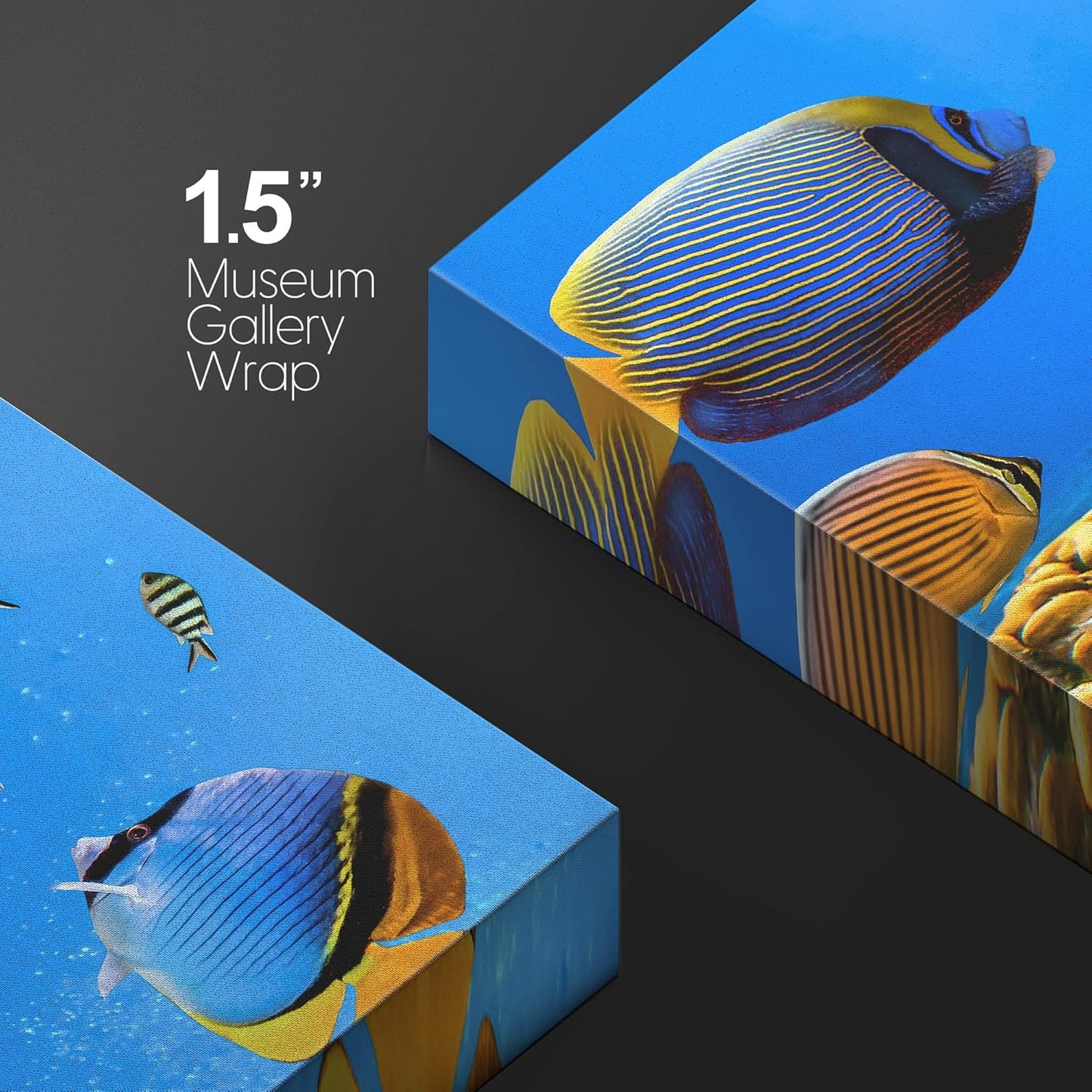 wall26 Canvas Print Wall Art Tropical Island Underwater Fish Red Anemone Nature Animals Photography Realism Rustic Scenic Landscape Wilderness Colorful for Living Room, Bedroom, Office - 12"x18"