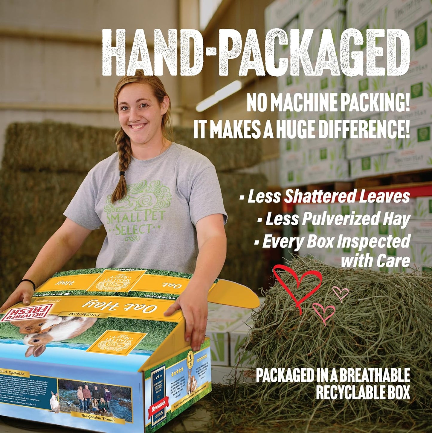 Small Pet Select Oat Hay Pet Food, 10 Lb.