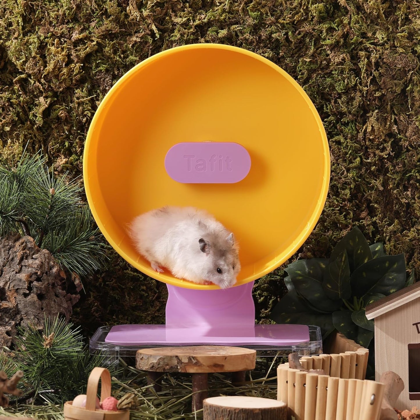 Quiet Hamster Wheel 10.2 Inch Dual-Bearings Silent Small Animals Running Exercise Wheel Height Adjustable for Syrian Hamsters, Gerbils, Rats, or Other Small Pets, Passionfruit Yellow