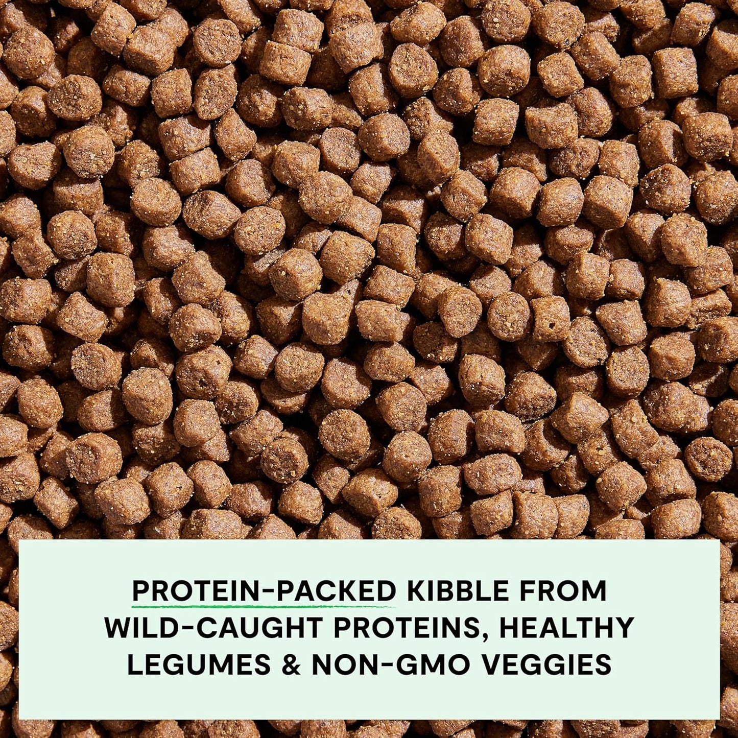 Open Farm, Grain-Free Dry Dog Food, Complete & Balanced Kibble, Sustainably & Ethically Sourced Ingredients, Non-GMO Veggies & Superfoods to Support Overall Health, Wild-Caught Salmon Recipe, 4lb Bag